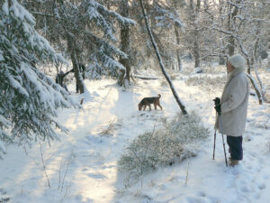 winter walks Sage of Interiors decluttering